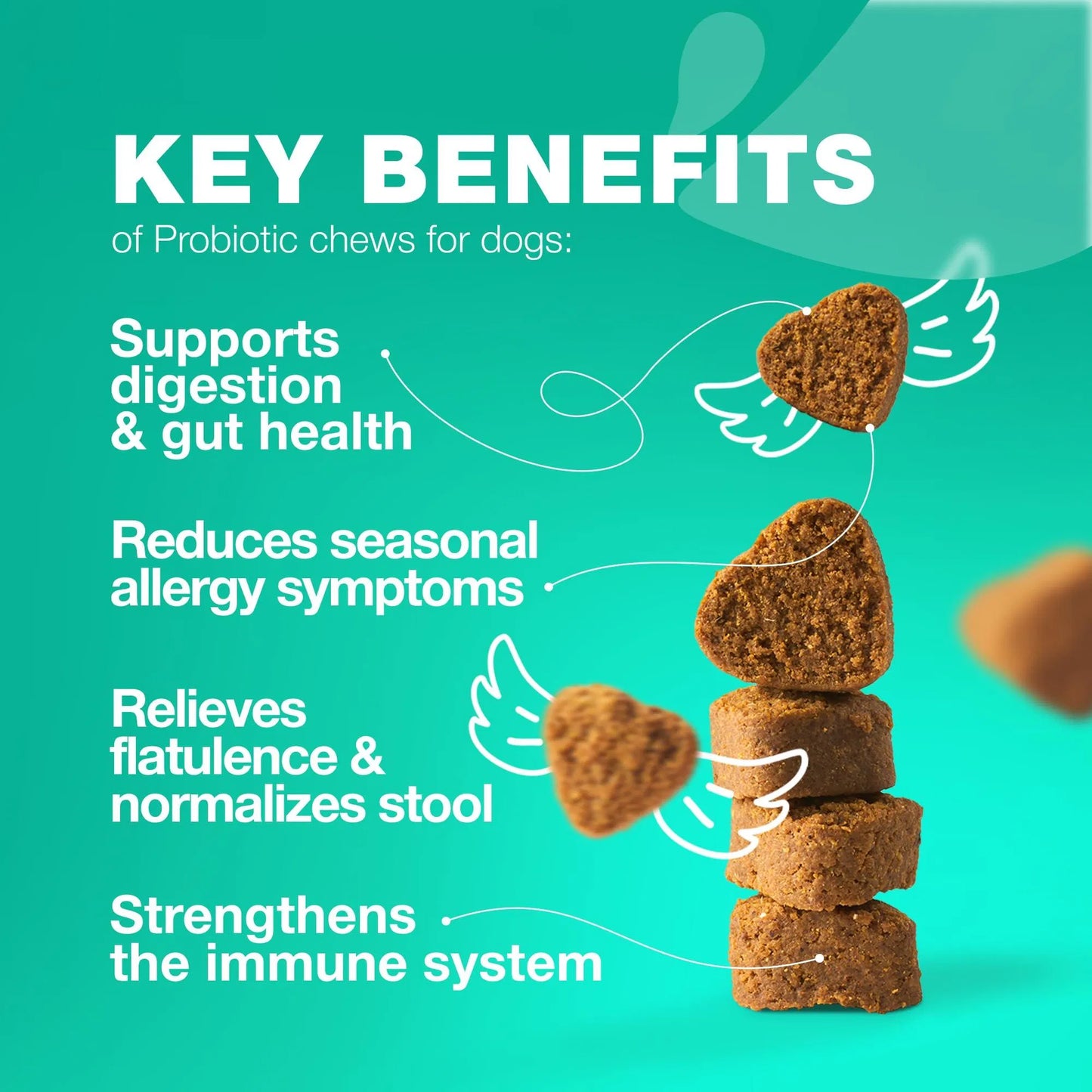 Probiotics For Dogs Support