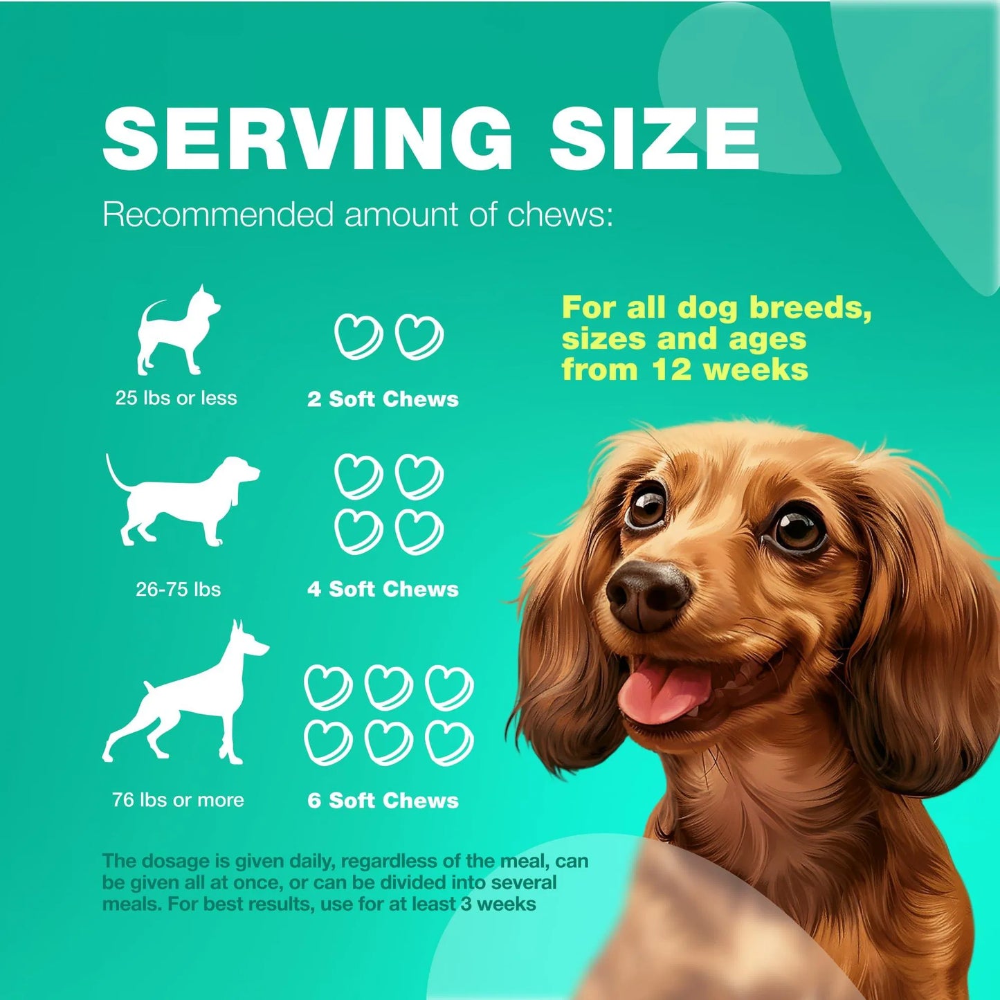 Probiotics For Dogs Support