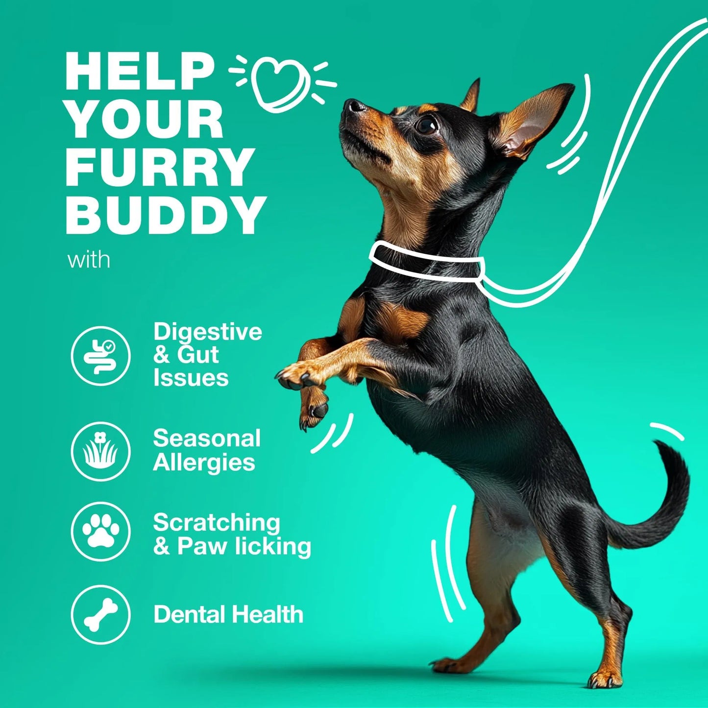 Probiotics For Dogs Support