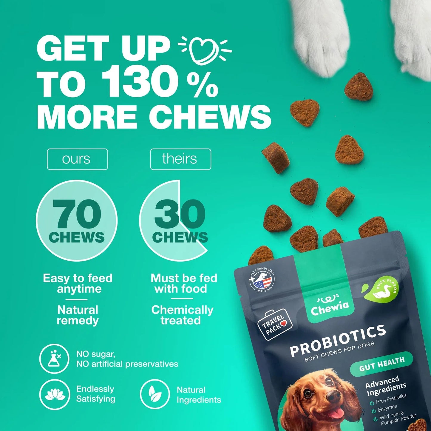 Probiotics For Dogs Support